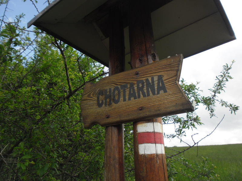 005 Chotarna