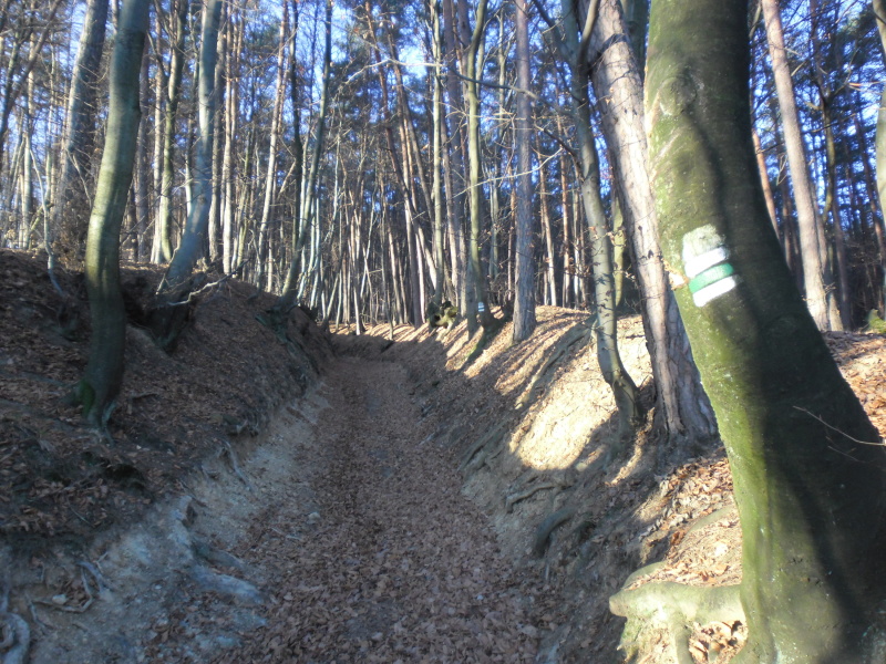 201811032 Bukovec - Šemša