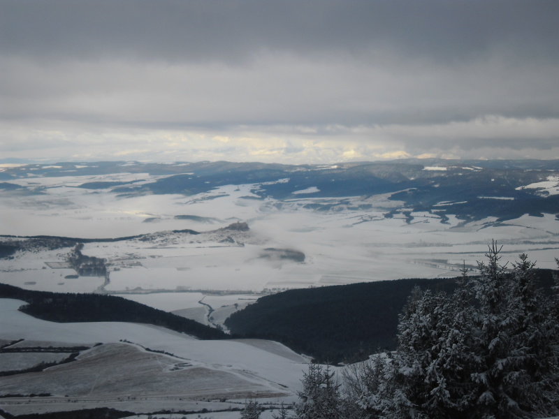 201812008 Sľubica