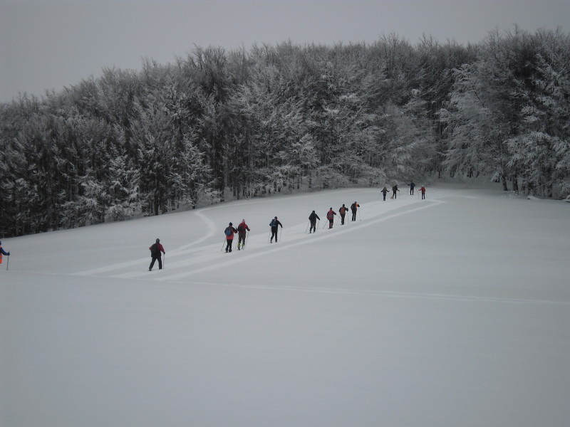 201901216 Javornícka poľana