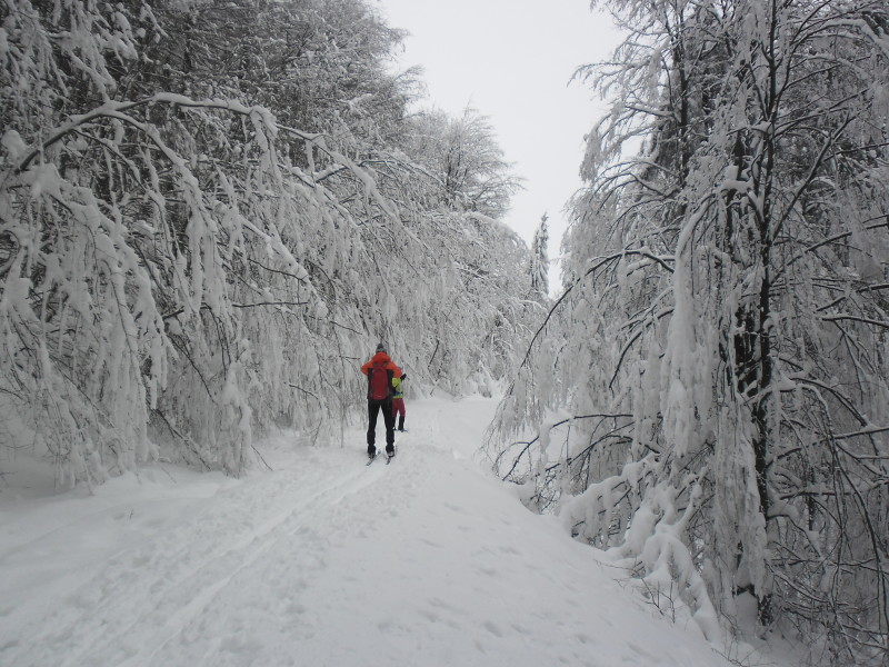 201901222 Slanské vrchy