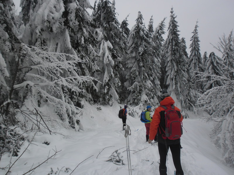 201901224 Slanské vrchy
