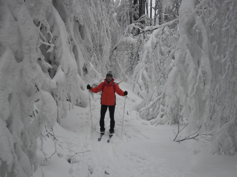201901227 SSlanské vrchy